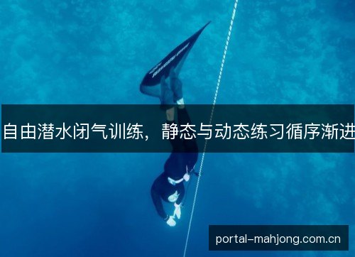 自由潜水闭气训练,静态与动态练习循序渐进 自由潜水闭气训练,静态与动态练习循序渐进